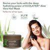 Organic Aloe Vera Hydrating and Fortifying Hair Mask ECOLATIER - 97.2% Natural, Vegan - Shea Butter, Rice Proteins for Deep Conditioning and Strengthening - 8.5 Fl Oz