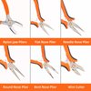 IQIANS 6PCS Jewelry Pliers Set with Acrylic Pallet, Needle Nose Pliers, Wire Cutters, Nylon Jaw Pliers etc. Jewelry Making Kit Tools for DIY Jewelry Repair, Wire Wrapping, Beading and Earring Crafts