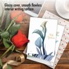 The Best Card Company - 10 Sympathy Thank You Cards (4 x 5.12 Inch) - Boxed Flower Condolence Gratitude - Blooming Expressions AM6221STG-B1x10