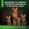 Natural Antibiotics for Cats | Cat Antibiotics | Supports Cat Allergy Relief | Cat Itch Relief | Cat Allergy Support | Cat Multivitamin | Pet Antibiotics | Cat Antibiotics | 2 Oz