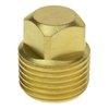 Shoreline Marine Solid Brass Garboard Drain Plug