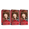 Revlon Permanent Hair Color, Permanent Hair Dye, Colorsilk with 100% Gray Coverage, Ammonia-Free, Keratin and Amino Acids, 43 Medium Golden Brown, 4.4 Oz (Pack of 3)