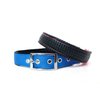 Downtown Pet Supply Deluxe Dog Collar - Padded Adjustable Dog Collar with Metal Buckle & D-ring - Machine Washable & Water Resistant Thick Dog Collar - Blue - S - Small Dog Collar