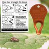 The Original Tick Key - Tick Detaching Device - Portable, Safe and Highly Effective Tick Detaching Tool (Orange)