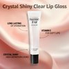 STUDIO LIMITED (NEW 2023 Instant Fab Crystal Shiny Clear Lip Gloss Value Pack 14ml/ 0.47oz (6 Pack)