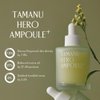 PINKWONDER Tamanu Hero Ampoule⁺ 1.69oz (50ml), Tamanu Oil and Green Tea Wate for Acne Treatment, Daily Face Serum with Soothing and Refreshing, Korean Skincare