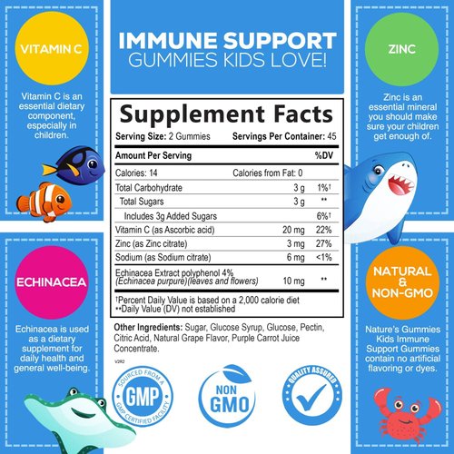 Kids Immune Support Gummies with Vitamin C, Zinc & Echinacea, Gluten Free & Non-GMO Chewable Immune Support for Kids Gummy, Daily Childrens Immune Support Vitamins, Vegan, Berry Flavor - 90 Gummies