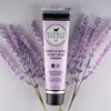 Dionis Goat Milk Skincare 3.3 oz Lavender Blossom Scented Hand & Body Cream - Travel Size Lotion For Hydrating & Moisturizing