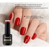Dan's Nails Rubber Base Gel Coat Set | Soak off UV/LED Lamp For Professional Technician (Chilli Red)