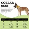 Stainless Steel Silver Gold Dog Collars with Safety Buckle Lock,18K Cuban Link Chain Training Collar,15MM Strong Dog Necklace Heavy Duty Chew Proof for Small Medium Large Dog