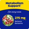 Enzymedica, Berberine Phytosome, 9.6X Better Bioavailability, High Potency Natural Vegan Dietary Supplement for Metabolic Support, 60 Capsules