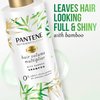 Pantene Sulfate Free Shampoo and Conditioner Set, Volumizing Shampoo and Conditioner for Fine or Flat hair with Bamboo, Safe for Color Treated Hair, Nutrient Blends, 9.6 oz and 8.0 oz