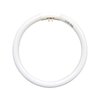 7.25 inch T5 22W Circular Bulb Light Replacement for Floxite, Zadro, Rialto Makeup Magnifying Vanity Mirror, FC22 Surround Fluorescent Lamp 6500K Daylight
