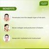 Vaadi Herbals Herbal Face Pack Cream All Natural Paraban Free Sulfate Free Good For All Skin Types 2.47 Ounces Premium Quality (Deep-Moisturising Chocolate Face Pack)