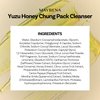Maybena Yuzu Honey Chung Pack Cleanser | Moisturizing & Hydrating Facial Cleanser w/Yuzu and Honey Extract | K Beauty Gentle Pore Cleaner Sebum Control Foaming Face Wash for All Skin Types 3.38 fl oz
