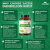 Zazzee USDA Organic Dandelion Root 10:1 Extract, 3000 mg Strength, 60 Capsules, 2 Month Supply, Standardized and Concentrated 10X Extract, 100% Vegetarian, All-Natural and Non-GMO