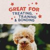 Natural Balance Limited Ingredient Mini-Rewards Salmon Grain-Free Dog Training Treats for Dogs | 5.3-oz. Canister, Brown