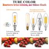 LiteHistory Dimmable t6 led Bulb 40W Candelabra led 2700K Clear 400lm 4W e12 Edison Bulb Warm White 6Pack