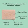 UPCIRCLE Cinnamon + Ginger Chai Soap Bar 3.5oz - Organic Vegan Cleanser For Face And Body - French Pink Clay + Glycerin Reducing Redness + Irritation - Natural, Cruelty-Free + Palm Oil Free