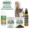 Squirrel Booster (2 oz.) - Complete Multivitamin - Powdered Vitamin & Mineral Supplement for Pet Squirrels
