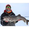 Northland Fishing Tackle Buck-Shot Ice Fishing Rattle Spoon, Silver Shiner, 1/4 Oz, 1/Cd