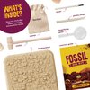 Real Fossil Dig Kit for Kids - Mega Science Kits for Boys & Girls Age 8-12 - Birthday Easter Gift Ideas for 8, 9, 10, 11, 12 Year Old Boy or Girl - Fossils Digging STEM Toys for Ages 8-13