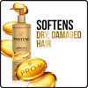 Pantene Gold Series Argan Oil from ProV for Natural and Curly Textured Hair, Sulfate Free Shampoo, 8.5 Fl Oz