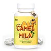 Camel Milk Capsules | Herbal Supplement | Pure Camel Milk Powder 908.05mg, Calcium Carbonate, Vitamin C, Vitamin B1, Vitamin B2 | 60 Capsules