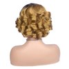 HANNE Short Curly Wigs for Black Women Side Part Ombre color Root Lace Part Short Wigs Curly Heat Resistant Loose Wave Black Women Wigs (Light Brown)