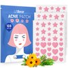 LitBear Acne Patch Pimple Patch, Pink Heart & Star Shaped Absorbing Cover Hydrocolloid Patches For Face Zit, Acne Dots, Tea Tree Oil + Centella (108 Count (Pack of 1))