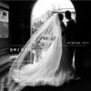 Bmirth Bride Wedding Veil Cathedral Length Floral Lace Bridal Tulle Hair Accessories 118" Long Veil for Women