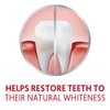 Parodontax Active Gum Repair Whitening Toothpaste for Bleeding Gums - 3x3.4 oz Tube