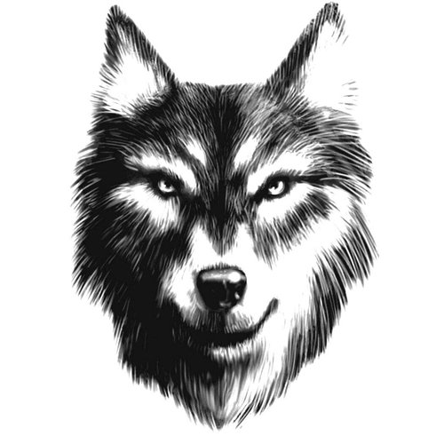 Inkbox Temporary Tattoos, Semi-Permanent Tattoo, One Premium Easy Long Lasting, Water-Resistant Temp Tattoo with For Now Ink - Lasts 1-2 Weeks (Asher)