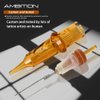 Ambition Glory Tattoo Cartridges #10 Bugpin 13M1 Needles Disposable 20pcs 0.3mm 13 Single Stack Magnum for Rotary Tattoo Machine Supply
