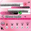 SKY MANGO Individual Lashes Kit 280pcs 50D Curl 8-16MM Clusters Eyelash Extension Kit with Lash Bond and Seal and Lash Tweezers and Lash Brush for Self Application(50D-0.07D-8-16MIX KIT)