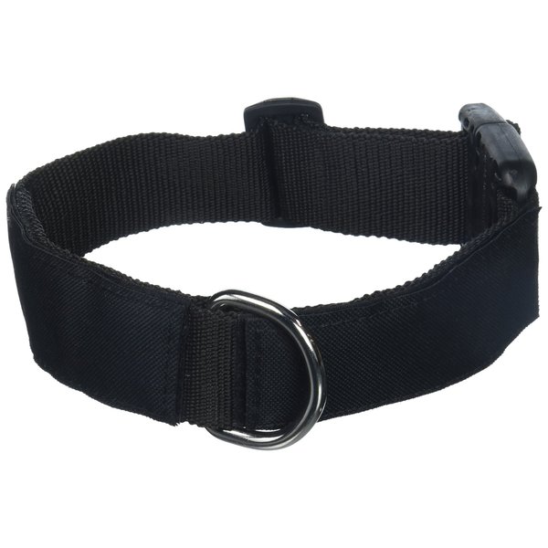 Dean & Tyler No Petting Please 21 by 26-Inch Patch Collar with 6-Feet Stainless Steel Snap Padded Puppy Leash, Medium, Black
