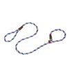 Warner Braided Nylon Rope British Slip Lead Dog Leash 1/2" X 6 Ft. (Blue-Pink-Lime)