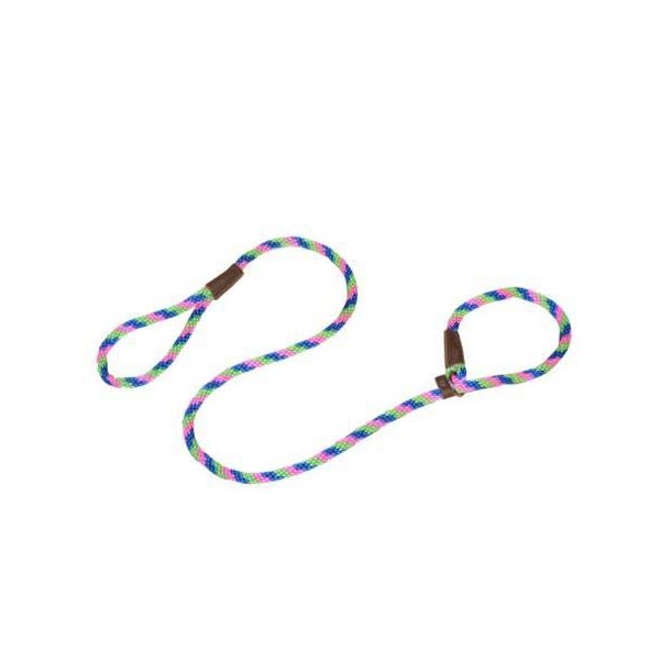 Warner Braided Nylon Rope British Slip Lead Dog Leash 1/2" X 6 Ft. (Blue-Pink-Lime)