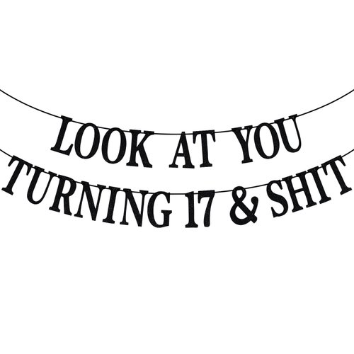 Black Glitter Look at You Turning 17 & Shit Banner, Happy 17th Birthday/Level 17 Unlocked/Cheers to 17 Years, Funny 17th Birthday Party Decorations Supplies