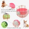 kathson Crate Dog Bowl, Removable Stainless Steel Hanging Pet Kennel Cage Bowl Food & Water Feeder Coop Cup for Puppy, Cat, Rabbit,Guinea Pigs 2pcs (Blue,Green)