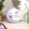 Citrus Magic Lavender Escape Odor Absorbing Solid Air Freshener, 8-Ounce, 8 Ounce (Pack of 1)