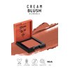 Pastel Cream Blush 46 | Fresh | Healthy & Natural Look | Ligh Weighted Formula | Sebum Control Richly Pigmented | Easily Blendable | Long Lasting | Semi Matte | 0.18 oz.