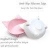Cat Bowls,Shallow Cat Food Bowls, Double Wide Cat Dish Non Slip Cat Feeding Bowls for Relief of Whisker Fatigue Pet Food & Water Bowls Set of 2
