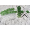 Genuine Surf Tumbled Green Sea Glass Hair Clip Set - Includes 2 Hair Combs, 1 60 mm French Barrette, 2 Hair Pins