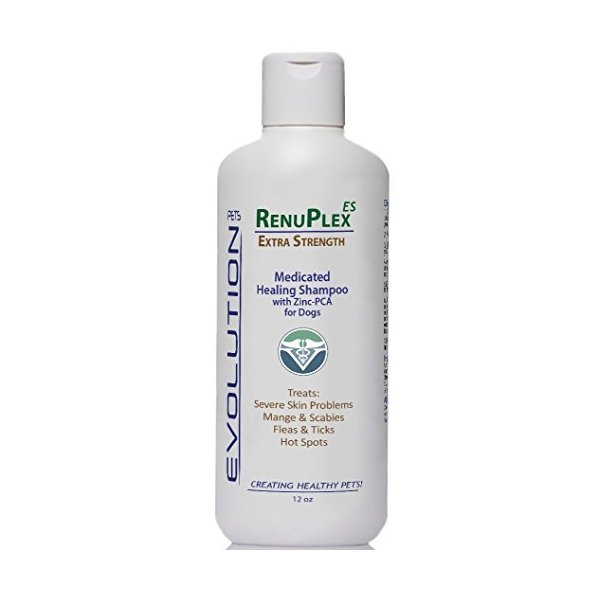 RenuPlex Medicated Dog Mange Shampoo. Extra Strength Mange Shampoo for Dogs Eliminates Mange, Scabies & Severe Skin Problems. All Natural Dog Shampoo. Unconditional Guarantee. Made in USA…