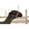 Weaver Leather Livestock Poly Rope Sheep Halter Hot Pink/Coral/Mint