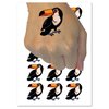 Curious Toco Toucan Bird Temporary Tattoo Water Resistant Fake Body Art Set Collection - 15 2" Tattoos (1 Sheet)