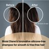 Moist Diane Perfect Beauty Extra Smooth & Straight Hair Shampoo w/Organic Argan Oil, Sulfate-Free, Moisturizing Keratin from Japan, 15.2 Fl Oz/450 ml