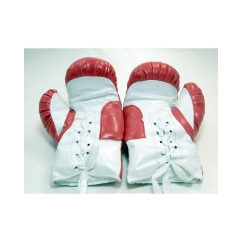 New 1 Pair of Youth Red 6oz Boxing Gloves For Kids