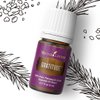Young Living Gratitude Premium Essential Oil Blend - Aromatherapy for Thankfulness and Positivity - Uplifting Grand Fir and Frankincense Aroma - 5 ml Bottle